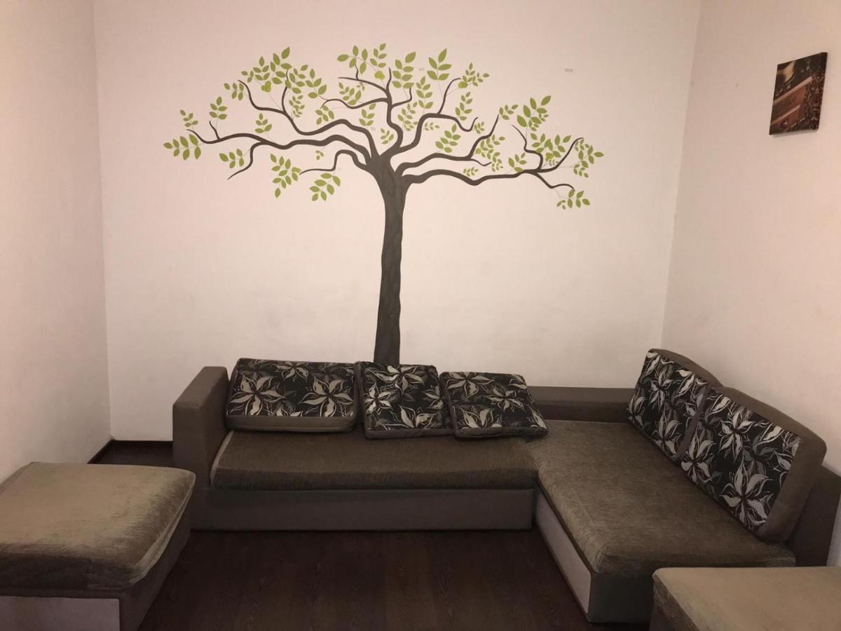 Limon Studios Braşov Dış mekan fotoğraf