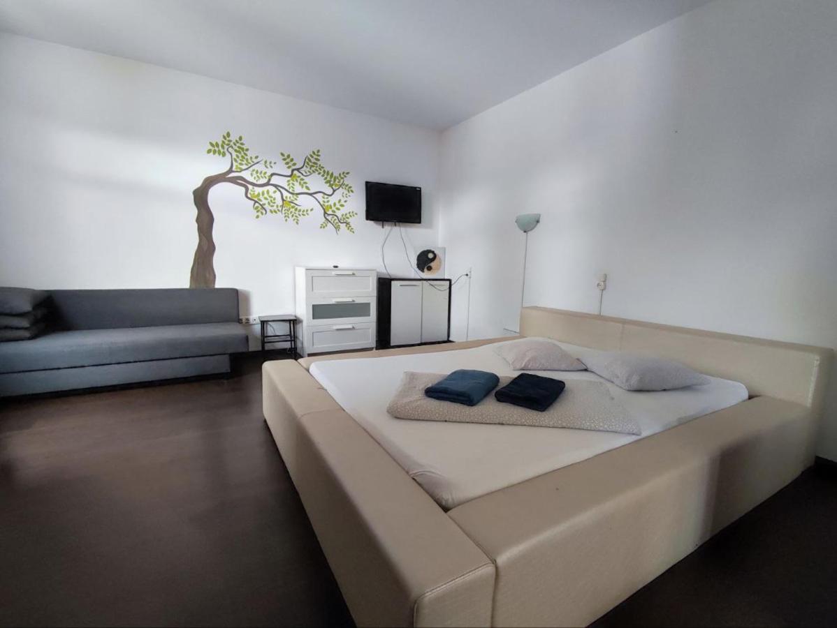 Limon Studios Braşov Dış mekan fotoğraf